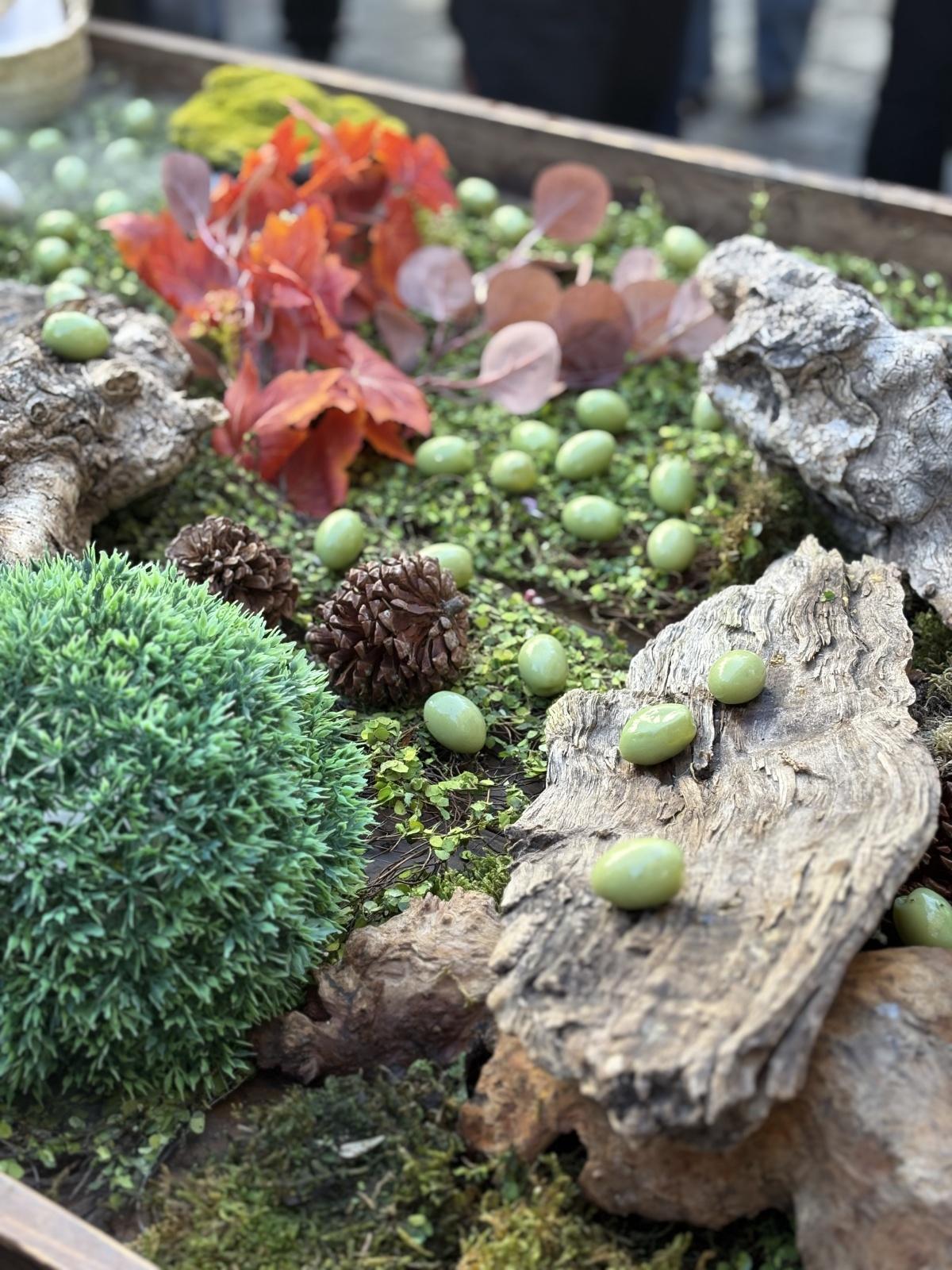 Albacete y Dénia unen lazos gastronómicos