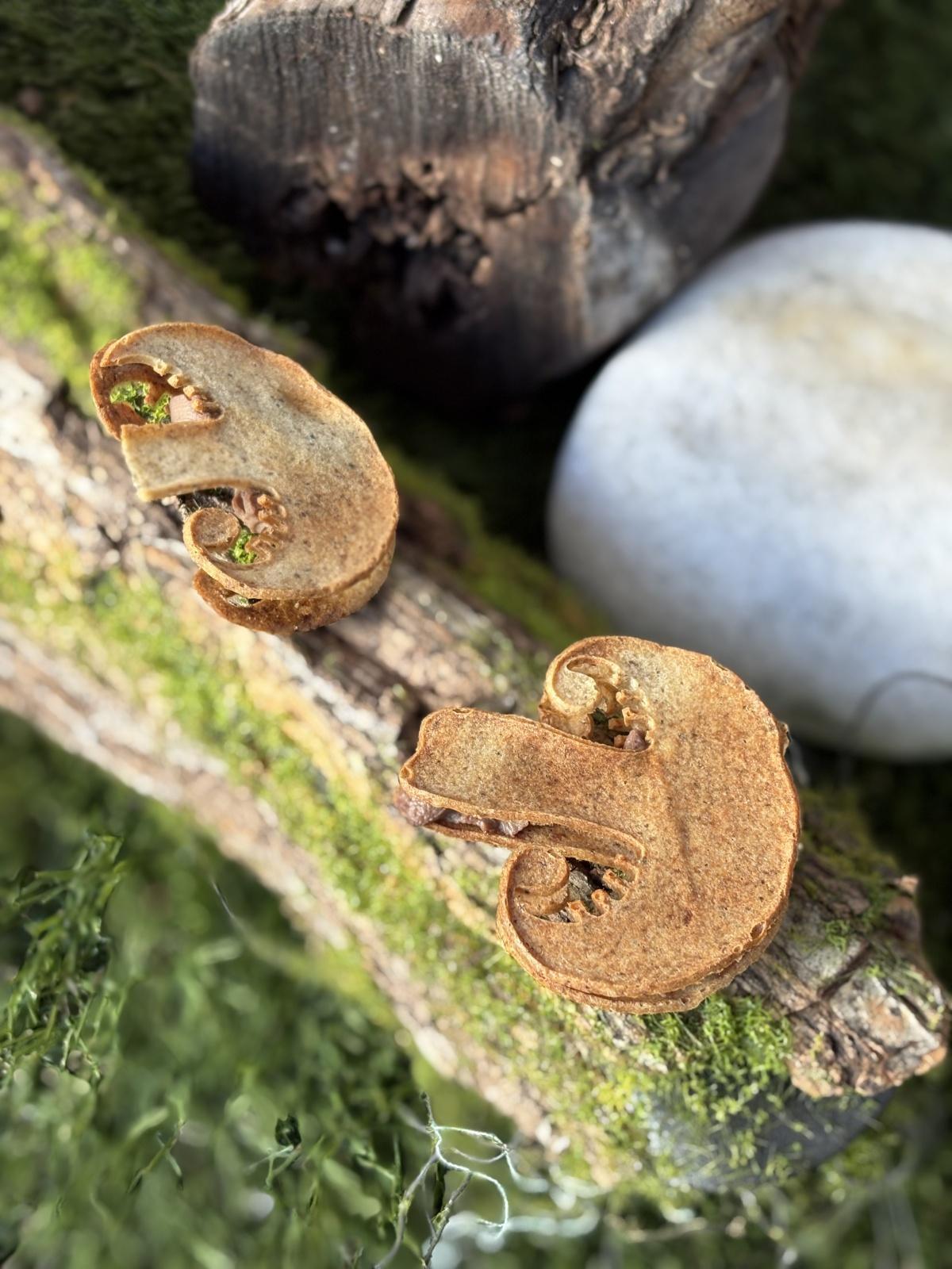 Albacete y Dénia unen lazos gastronómicos Albacete y Dénia unen lazos gastronómicos