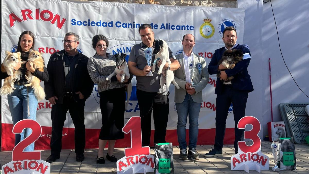 El Concurs Caní acapara les mirades de la cloenda de la Fira d'Ondara El Concurs Caní acapara les mirades de la cloenda de la Fira d'Ondara