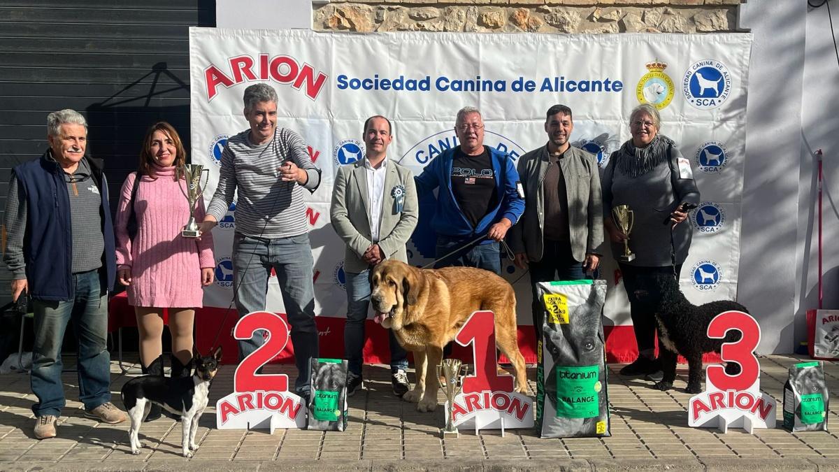 El Concurs Caní acapara les mirades de la cloenda de la Fira d'Ondara El Concurs Caní acapara les mirades de la cloenda de la Fira d'Ondara