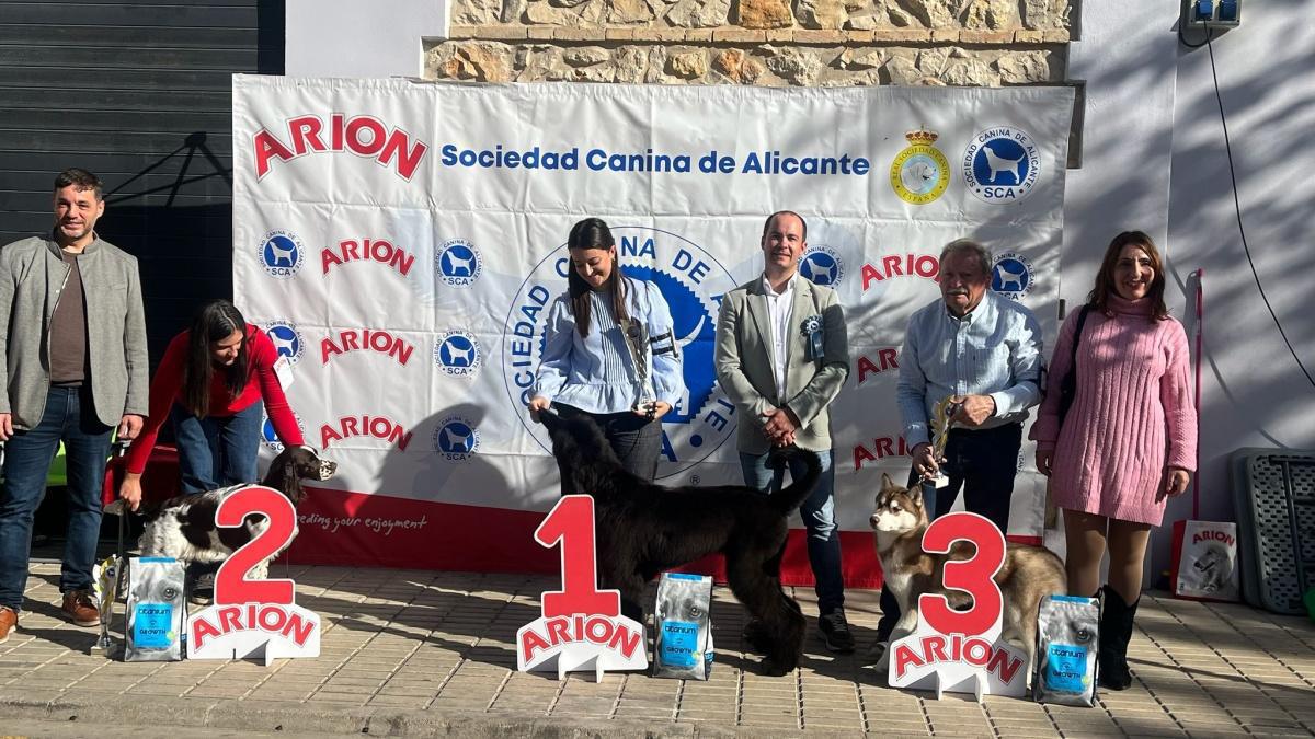 El Concurs Caní acapara les mirades de la cloenda de la Fira d'Ondara El Concurs Caní acapara les mirades de la cloenda de la Fira d'Ondara