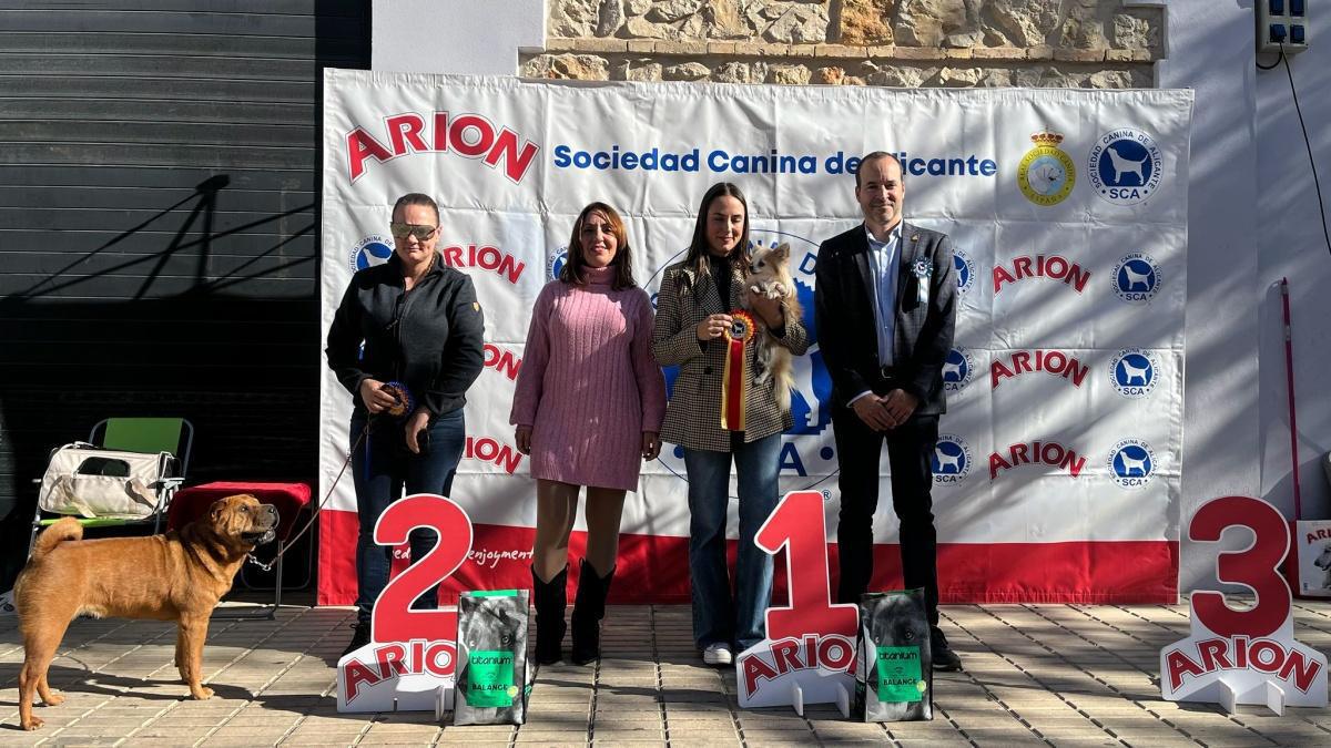 El Concurs Caní acapara les mirades de la cloenda de la Fira d'Ondara