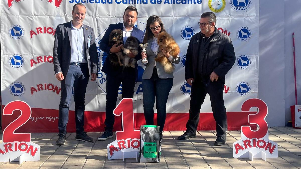 El Concurs Caní acapara les mirades de la cloenda de la Fira d'Ondara