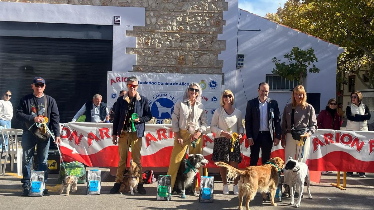 El Concurs Caní acapara les mirades de la cloenda de la Fira d'Ondara El Concurs Caní acapara les mirades de la cloenda de la Fira d'Ondara