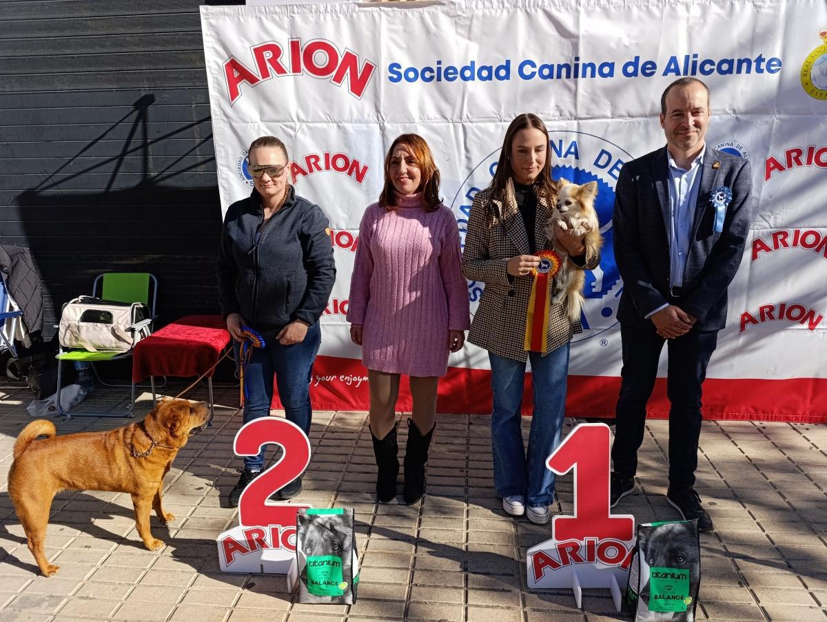 El Concurs Caní acapara les mirades de la cloenda de la Fira d'Ondara