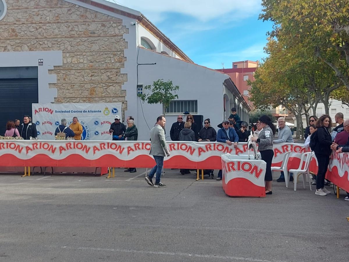El Concurs Caní acapara les mirades de la cloenda de la Fira d'Ondara El Concurs Caní acapara les mirades de la cloenda de la Fira d'Ondara