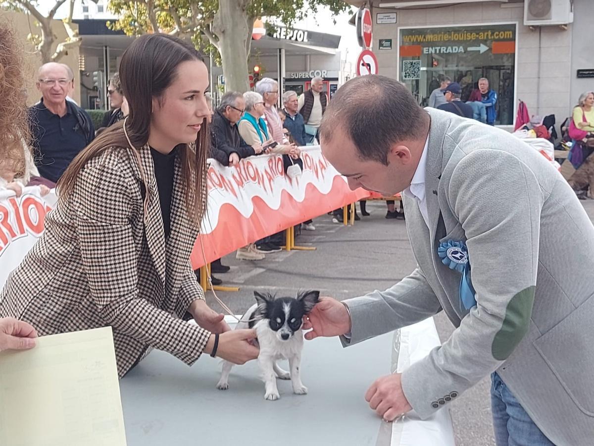 El Concurs Caní acapara les mirades de la cloenda de la Fira d'Ondara