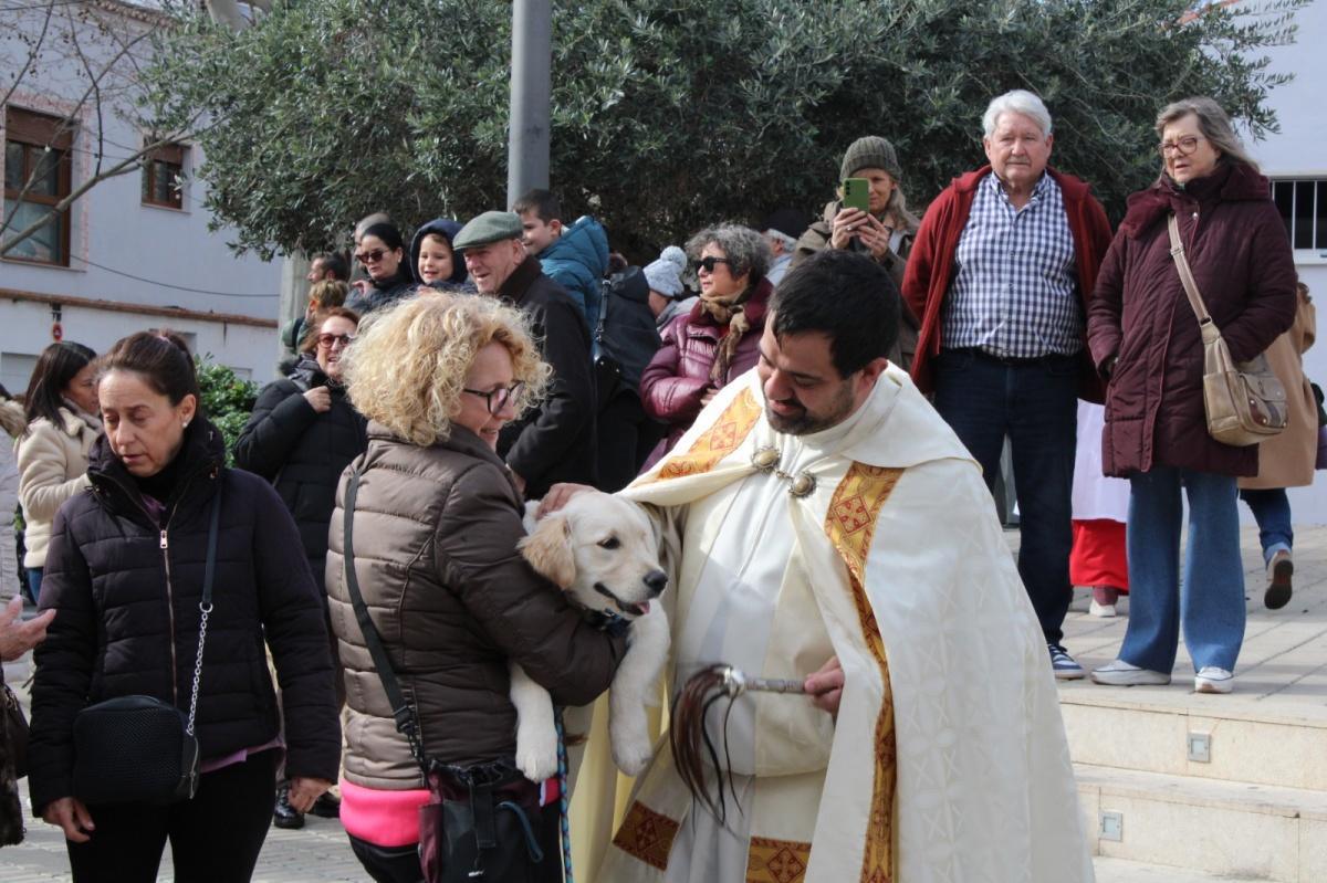 Sant Antoni protagonista a Ondara Sant Antoni protagonista a Ondara