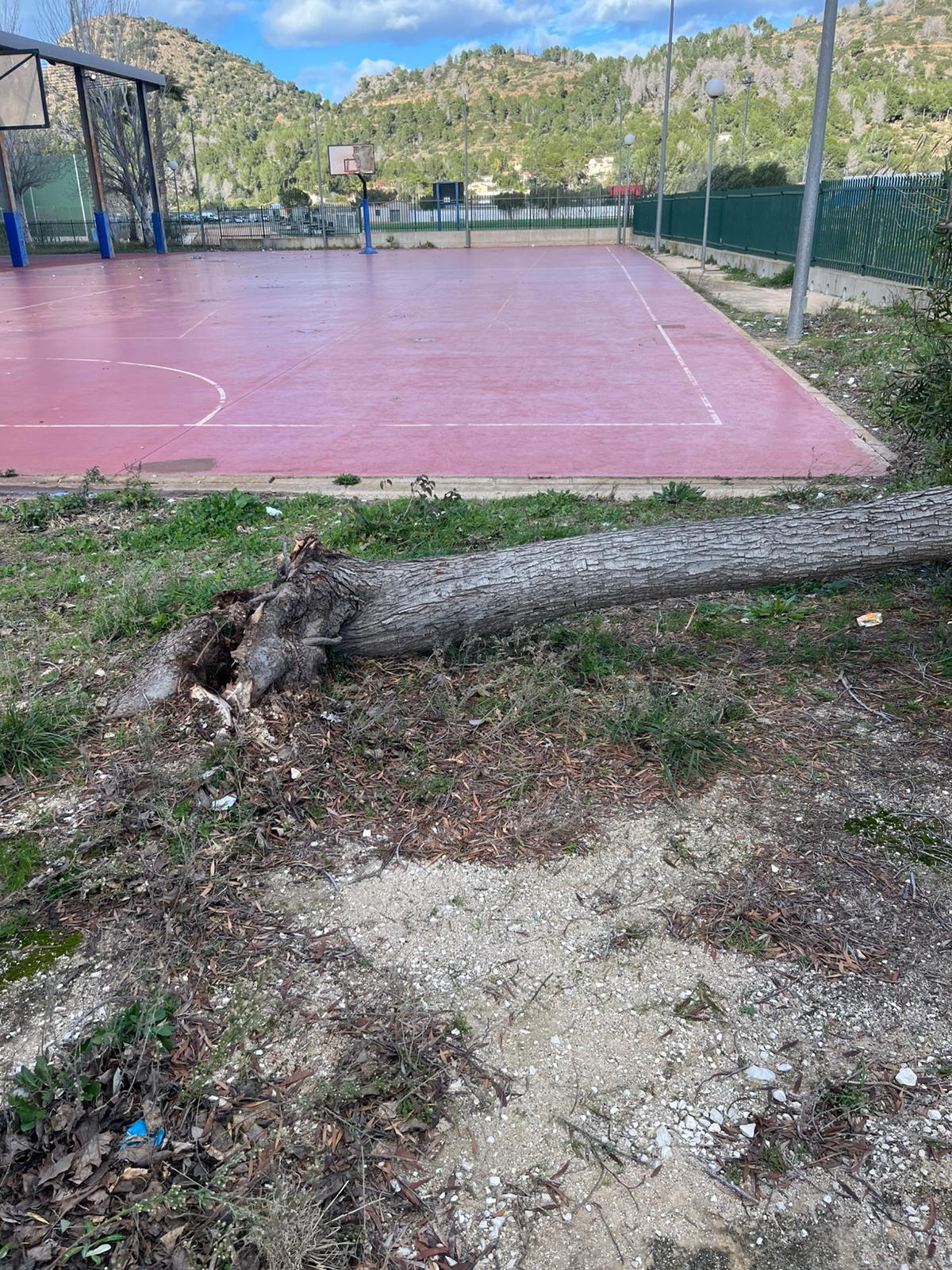El viento de 90 km/h registra numerosos accidentes en la Marina Alta en plena alerta naranja