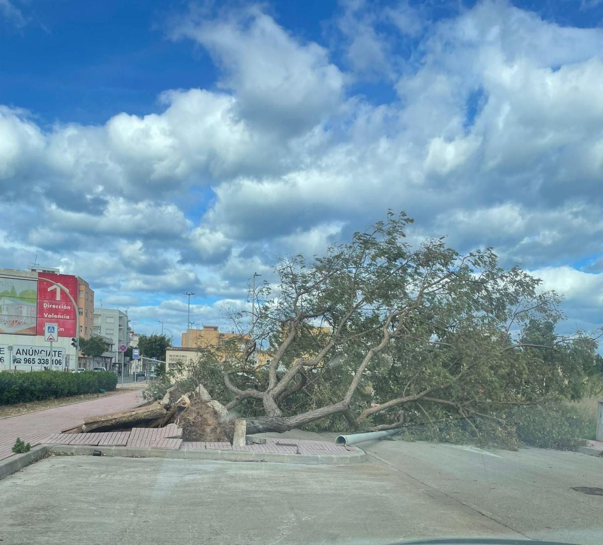 El viento de 90 km/h registra numerosos accidentes en la Marina Alta en plena alerta naranja El viento de 90 km/h registra numerosos accidentes en la Marina Alta en plena alerta naranja
