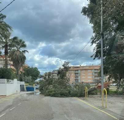 El viento de 90 km/h registra numerosos accidentes en la Marina Alta en plena alerta naranja