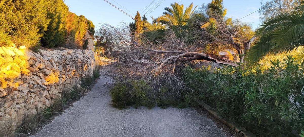 El fuerte viento parte un repetidor de Benissa El fuerte viento parte un repetidor de Benissa