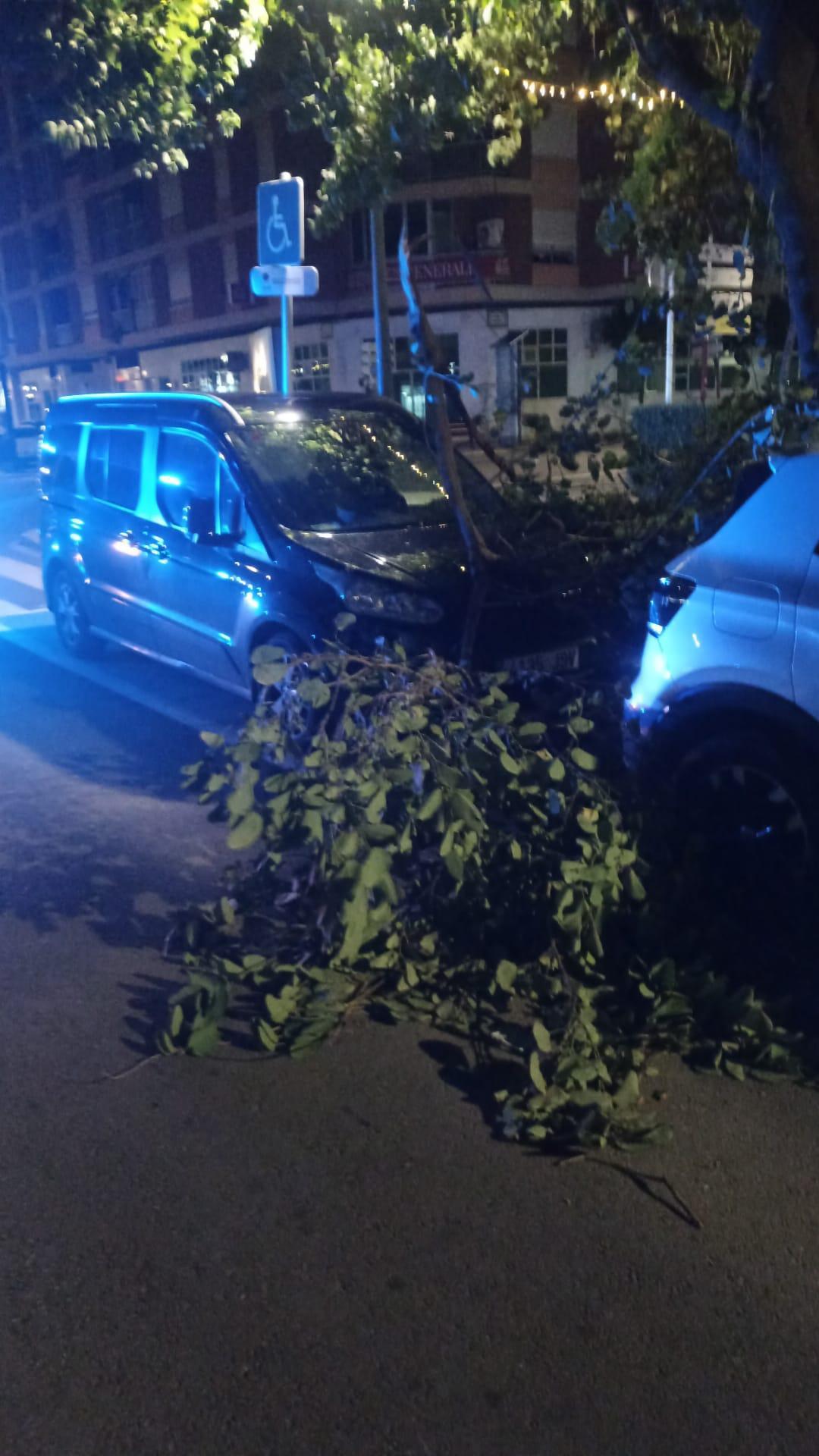 Dénia clausura parques y espacios deportivos al aire libre por el temporal de viento