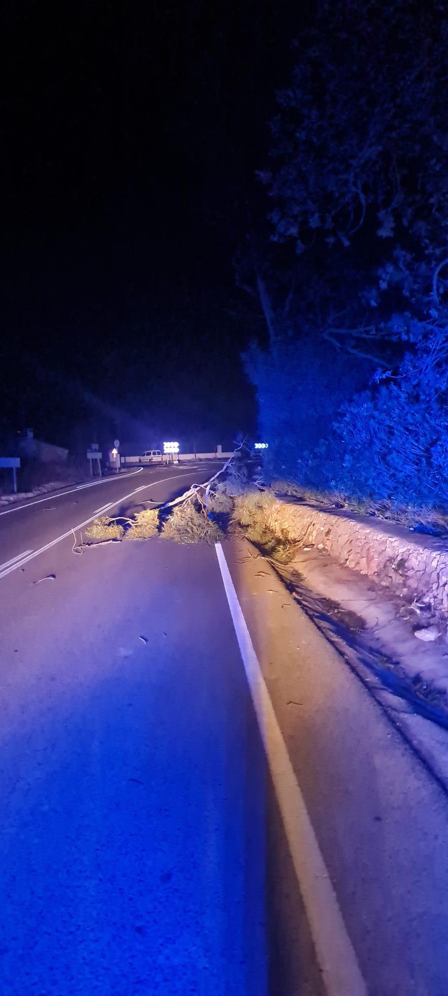 Dénia clausura parques y espacios deportivos al aire libre por el temporal de viento