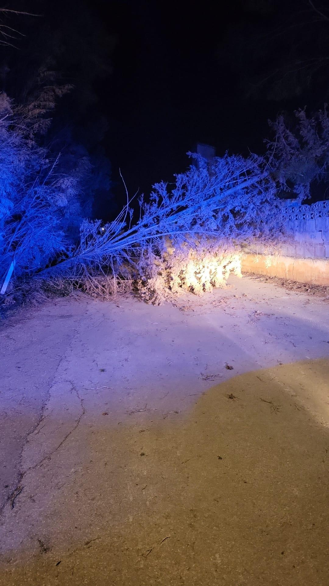 Dénia clausura parques y espacios deportivos al aire libre por el temporal de viento