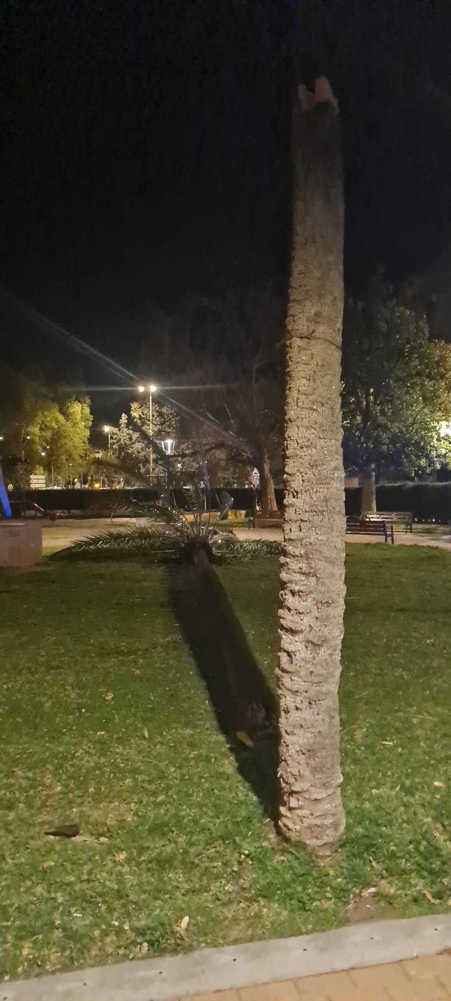 Dénia clausura parques y espacios deportivos al aire libre por el temporal de viento