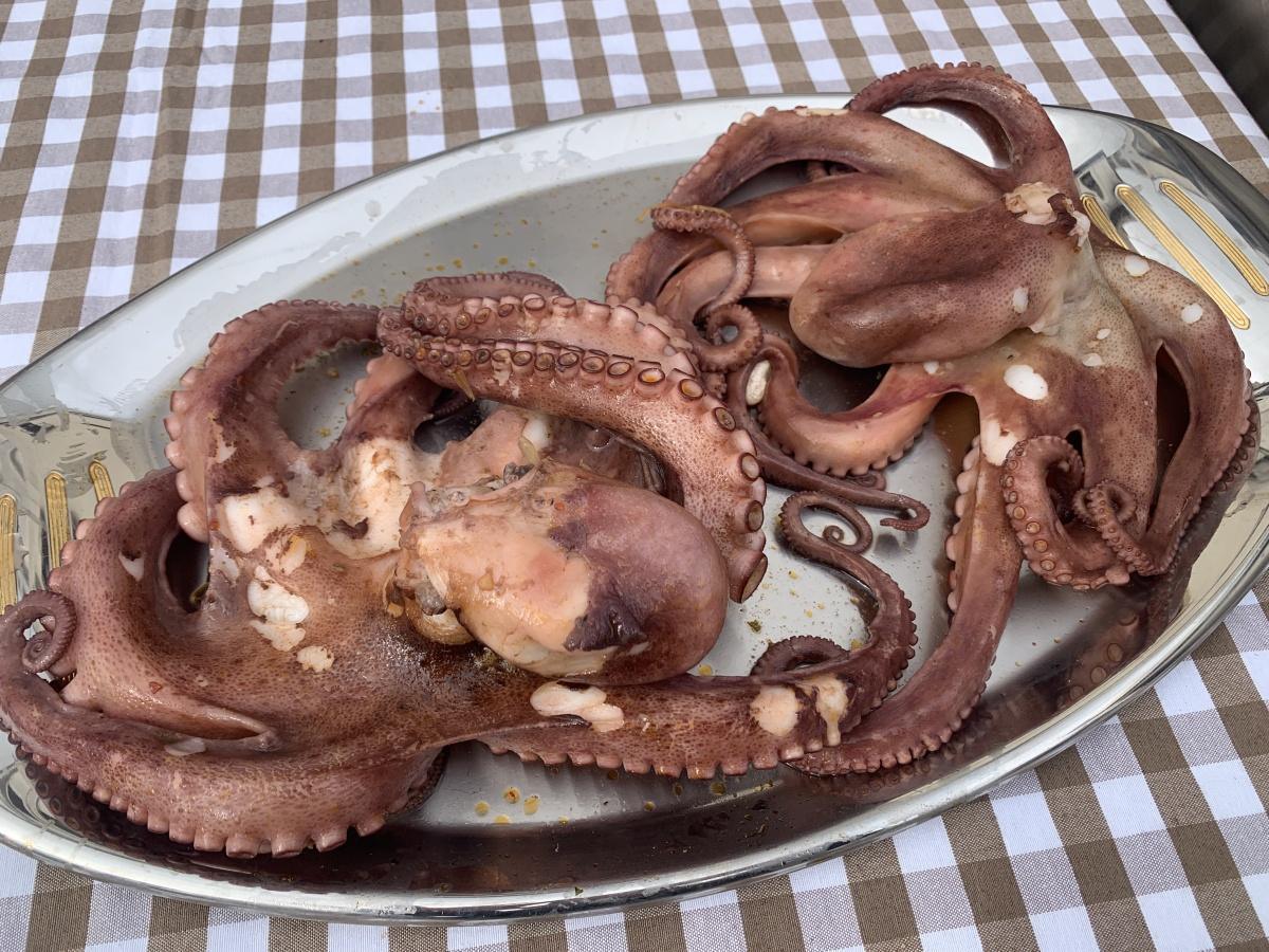 El Putxero de Polp ja té temple propi: naix Essència a Benissa