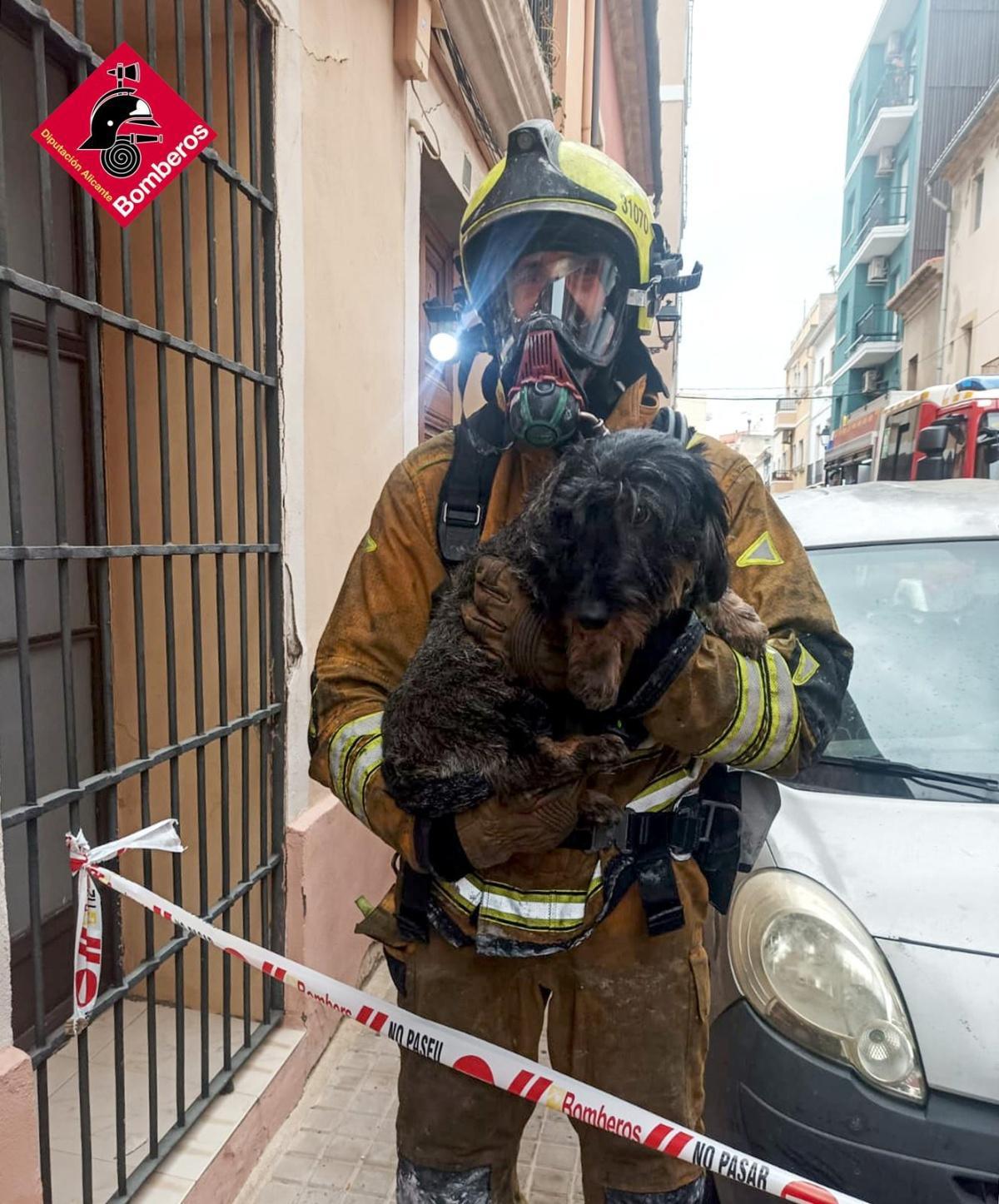 De las cenizas a la esperanza: piden ayuda tras perder su casa en Dénia De las cenizas a la esperanza: piden ayuda tras perder su casa en Dénia
