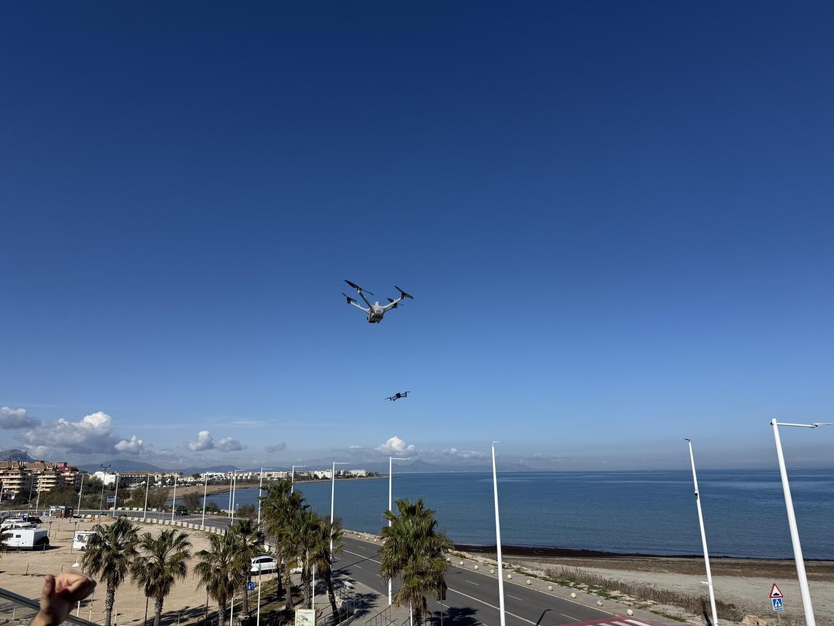 Dénia acoge unas jornadas internacionales sobre protección de tortugas marinas con una delegación de Costa Rica