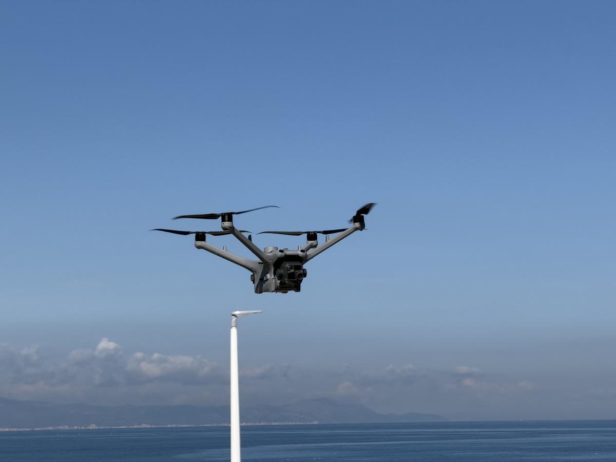 Dénia acoge unas jornadas internacionales sobre protección de tortugas marinas con una delegación de Costa Rica Dénia acoge unas jornadas internacionales sobre protección de tortugas marinas con una delegación de Costa Rica