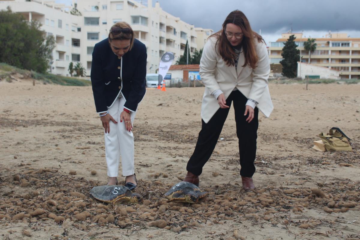 Costa y Rica ya nadan por la bahía de Dénia Costa y Rica ya nadan por la bahía de Dénia
