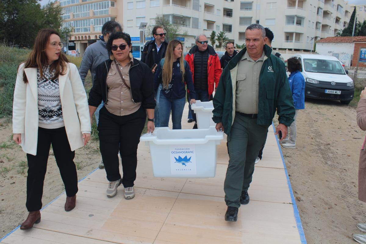 Costa y Rica ya nadan por la bahía de Dénia