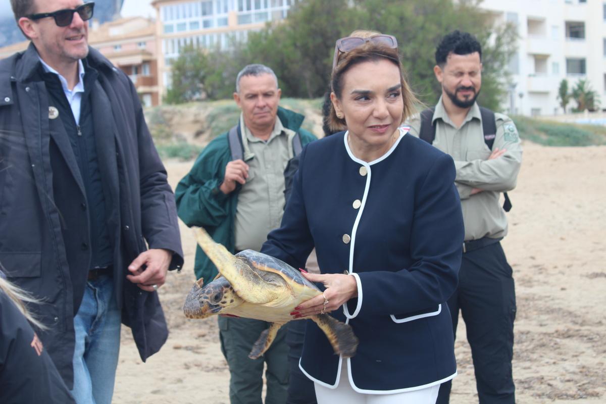 Costa y Rica ya nadan por la bahía de Dénia Costa y Rica ya nadan por la bahía de Dénia