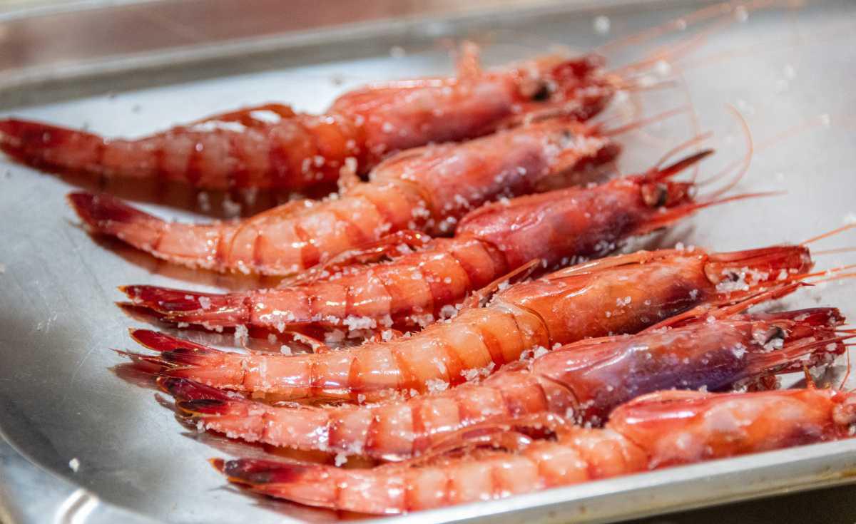 Ocho cocineros competirán por la mejor versión de la gamba roja en el XIV Concurso Internacional de Cocina Creativa de Dénia Ocho cocineros competirán por la mejor versión de la gamba roja en el XIV Concurso Internacional de Cocina Creativa de Dénia