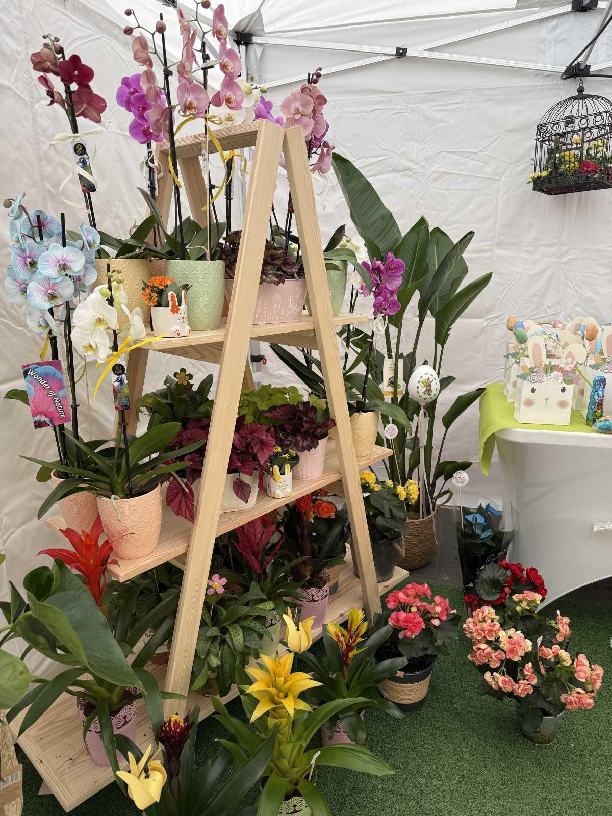 El Verger, cor del comerç de la comarca durant este cap de setmana El Verger, cor del comerç de la comarca durant este cap de setmana