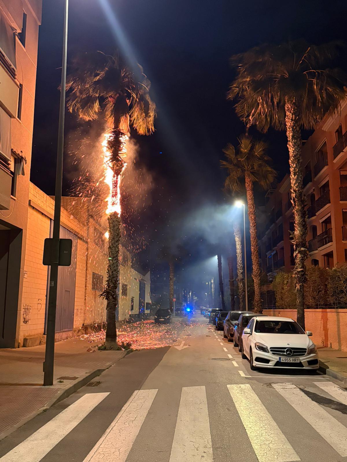 Un incendio en una palmera se extiende a una fábrica en Dénia sin dejar heridos