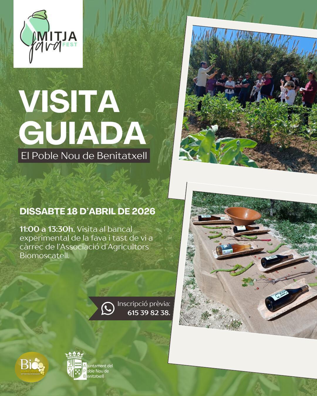 La fava toma el protagonismo en Benitatxell: llega Mitjafava Fest con La Fava Exterminadora La fava toma el protagonismo en Benitatxell: llega Mitjafava Fest con La Fava Exterminadora