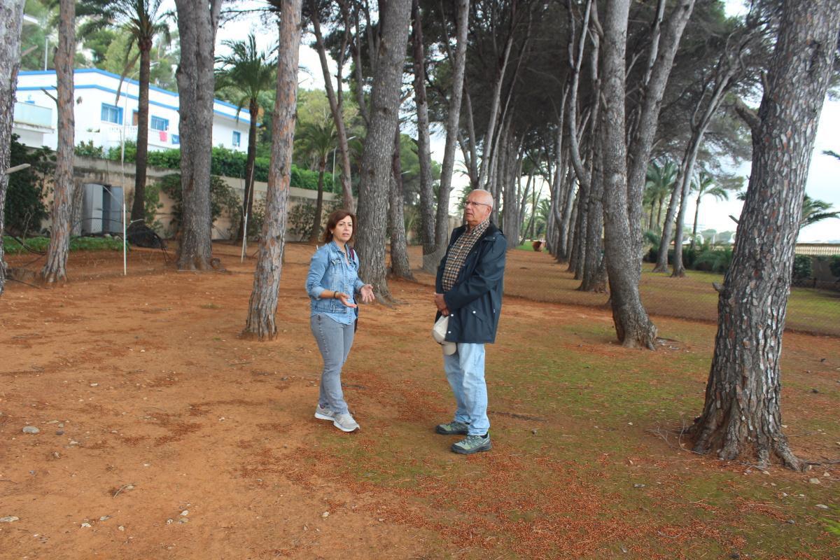 Un pinar de 3.000 m² en el Marge Roig pasará a ser zona verde pública de Dénia