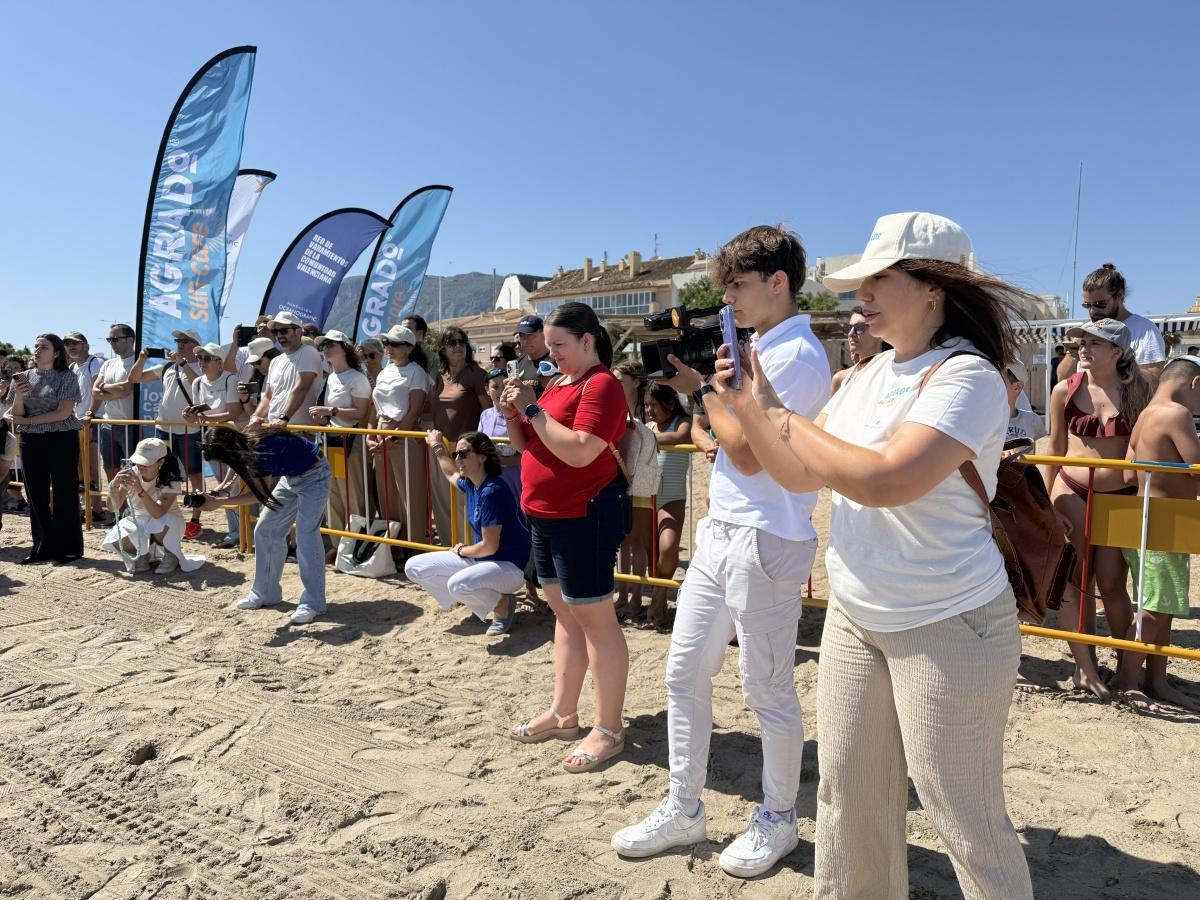 Dénia celebra el Día de los Océanos con la suelta de quince tortugas al mar