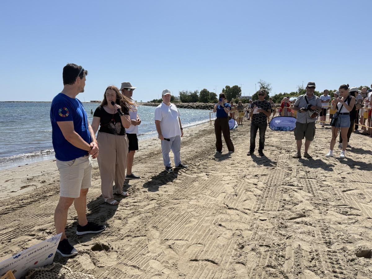 Dénia celebra el Día de los Océanos con la suelta de quince tortugas al mar