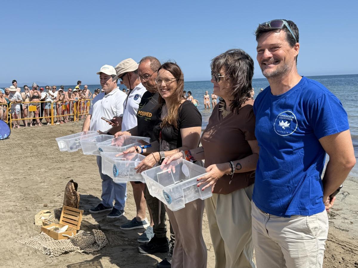 Dénia celebra el Día de los Océanos con la suelta de quince tortugas al mar