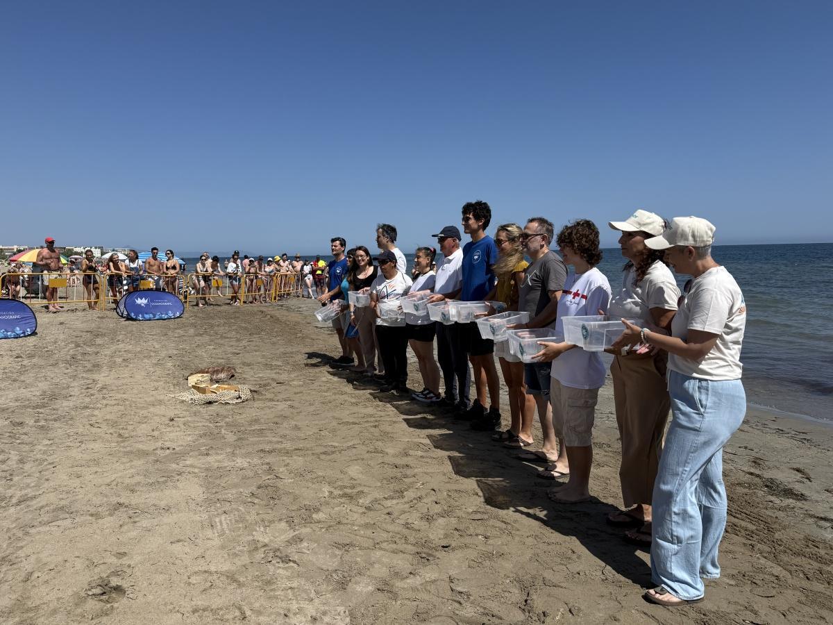 Dénia celebra el Día de los Océanos con la suelta de quince tortugas al mar