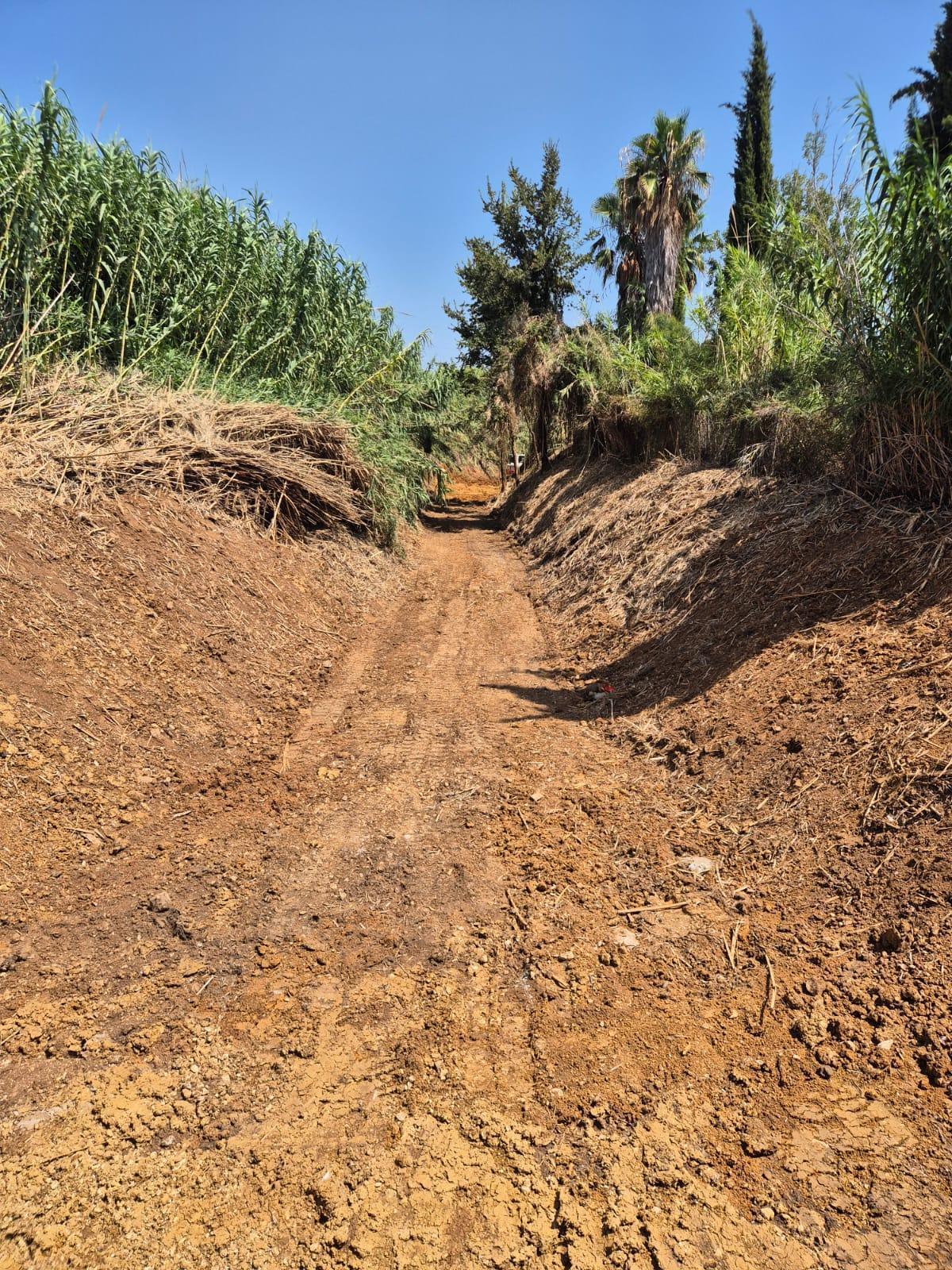 Ondara reforça la neteja preventiva dels barrancs del terme municipal Ondara reforça la neteja preventiva dels barrancs del terme municipal