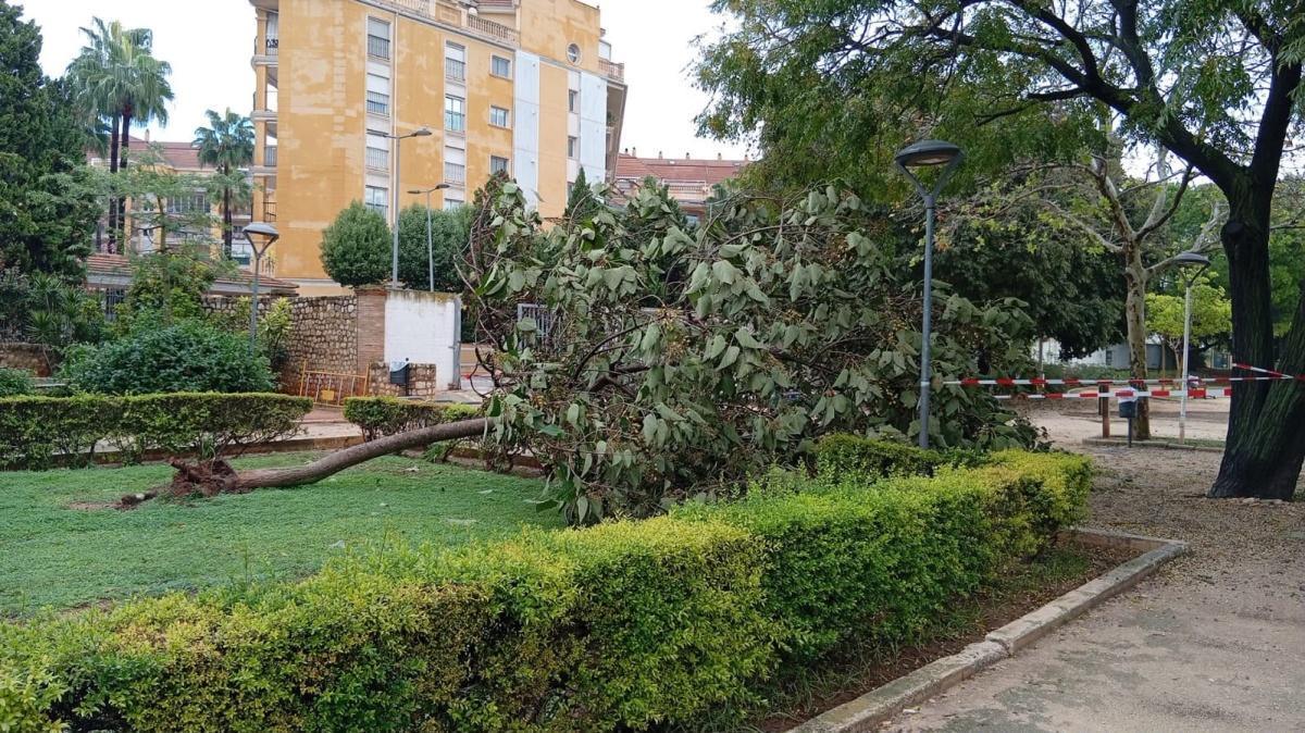 Dénia reabre sus instalaciones deportivas tras el paso de Adam