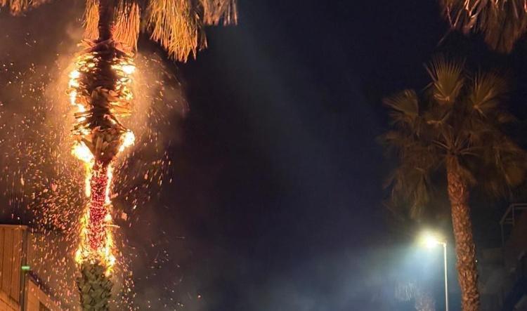 Un incendio en una palmera se extiende a una fábrica en Dénia sin dejar heridos