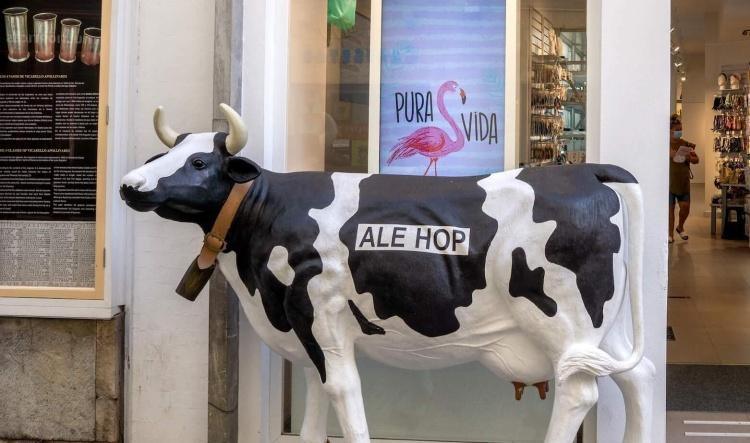 El Supremo da la razón a Ale-Hop frente a Mr. Wonderful