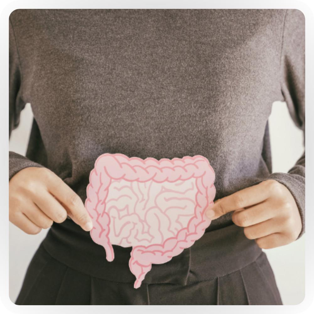 Esame Biomaplan Esame Biomaplan