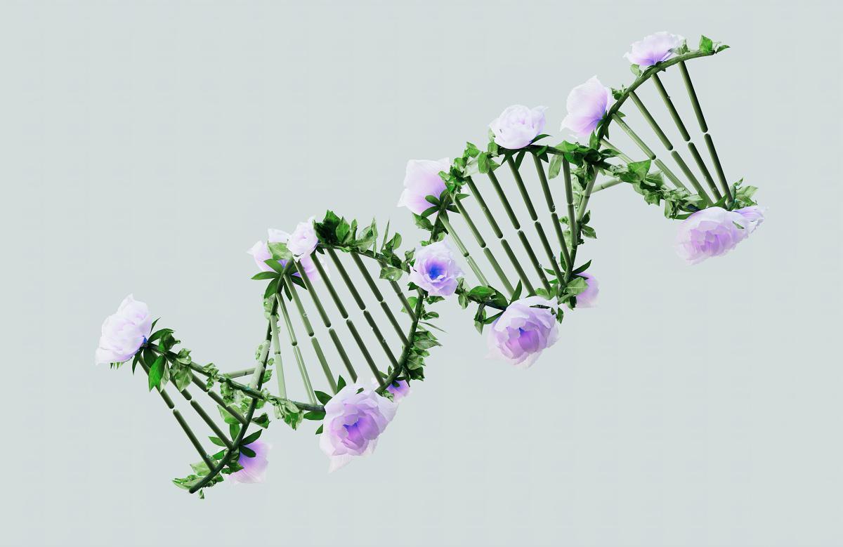 Analisi Pro-Longevity del DNA Analisi Pro-Longevity del DNA