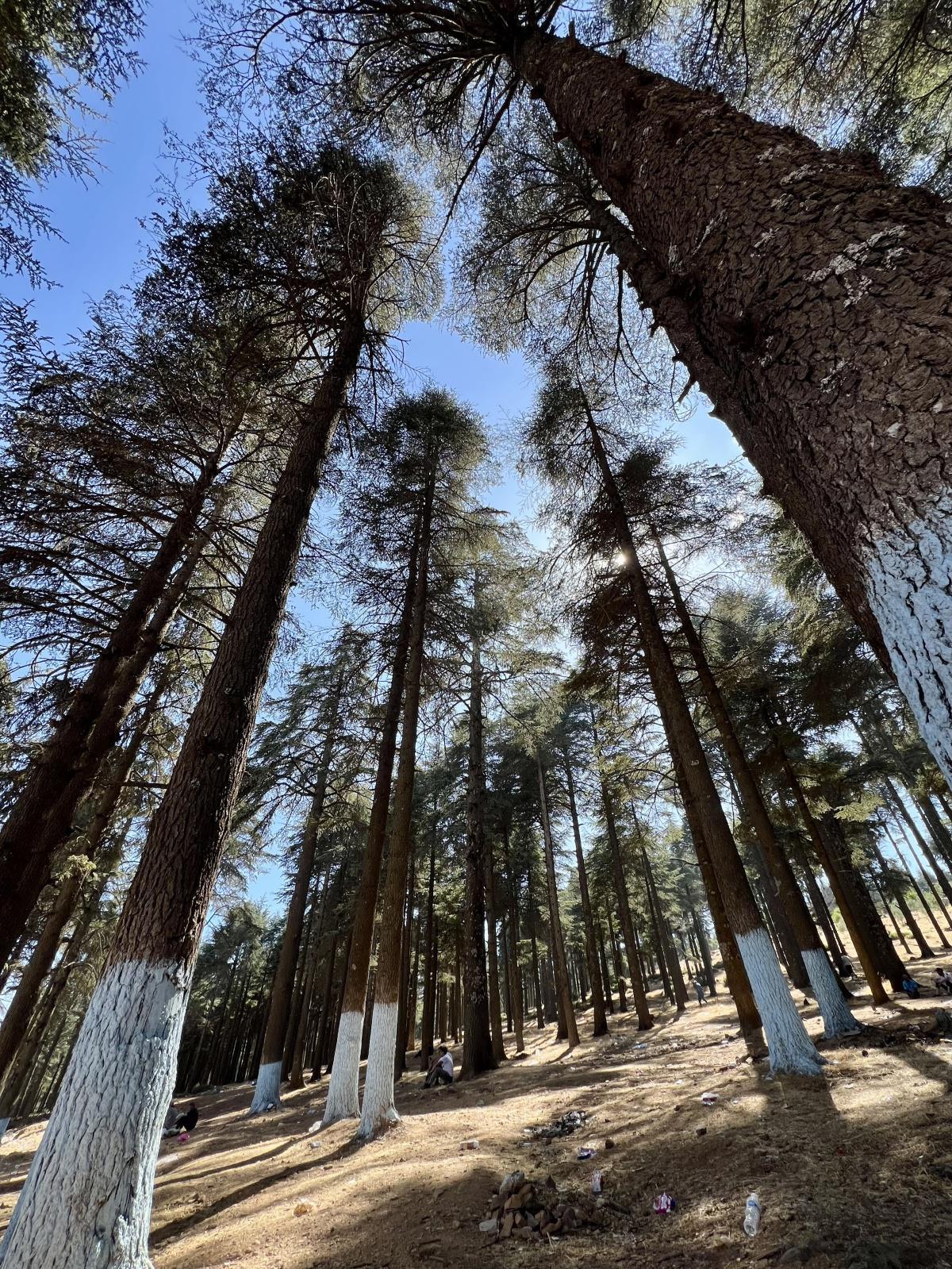 اليوم الحادي عشر - جولة صيف 2024 - كتامة اليوم الحادي عشر - جولة صيف 2024 - كتامة