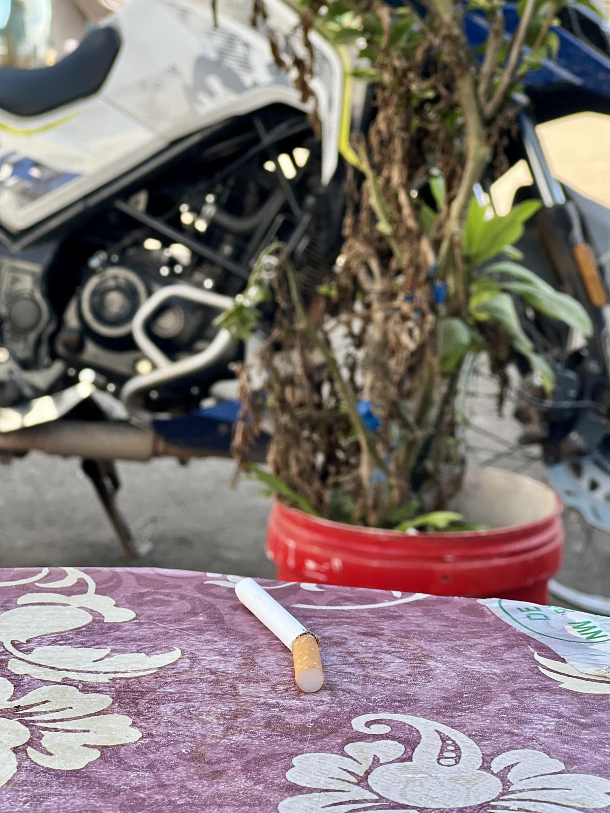 اليوم الثاني عشر - جولة صيف 2024 - الجبهة / واد لاو اليوم الثاني عشر - جولة صيف 2024 - الجبهة / واد لاو