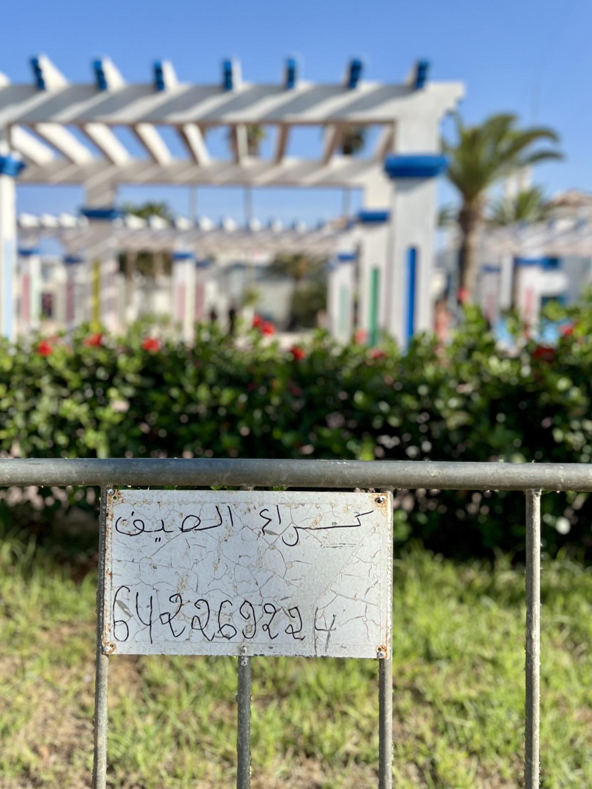 اليوم الثاني عشر - جولة صيف 2024 - الجبهة / واد لاو اليوم الثاني عشر - جولة صيف 2024 - الجبهة / واد لاو