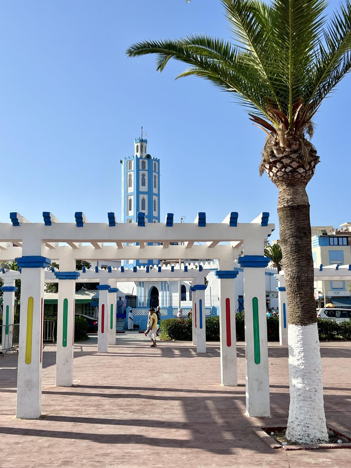 اليوم الثاني عشر - جولة صيف 2024 - الجبهة / واد لاو اليوم الثاني عشر - جولة صيف 2024 - الجبهة / واد لاو