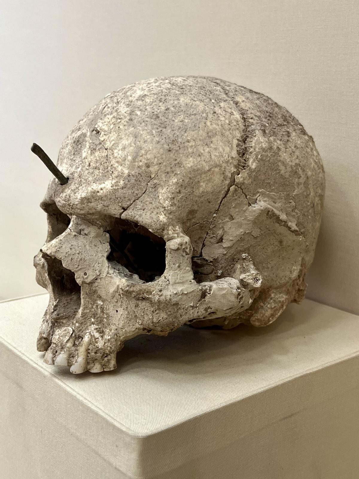 اليوم الرابع عشر - جولة صيف 2024 - تطوان اليوم الرابع عشر - جولة صيف 2024 - تطوان