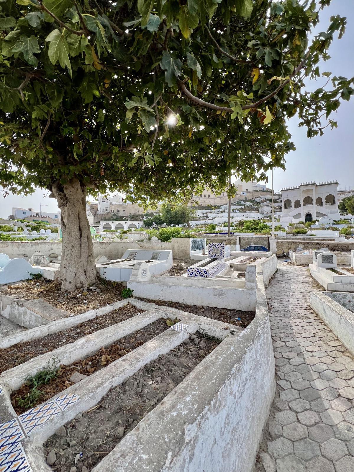 اليوم الرابع عشر - جولة صيف 2024 - تطوان اليوم الرابع عشر - جولة صيف 2024 - تطوان