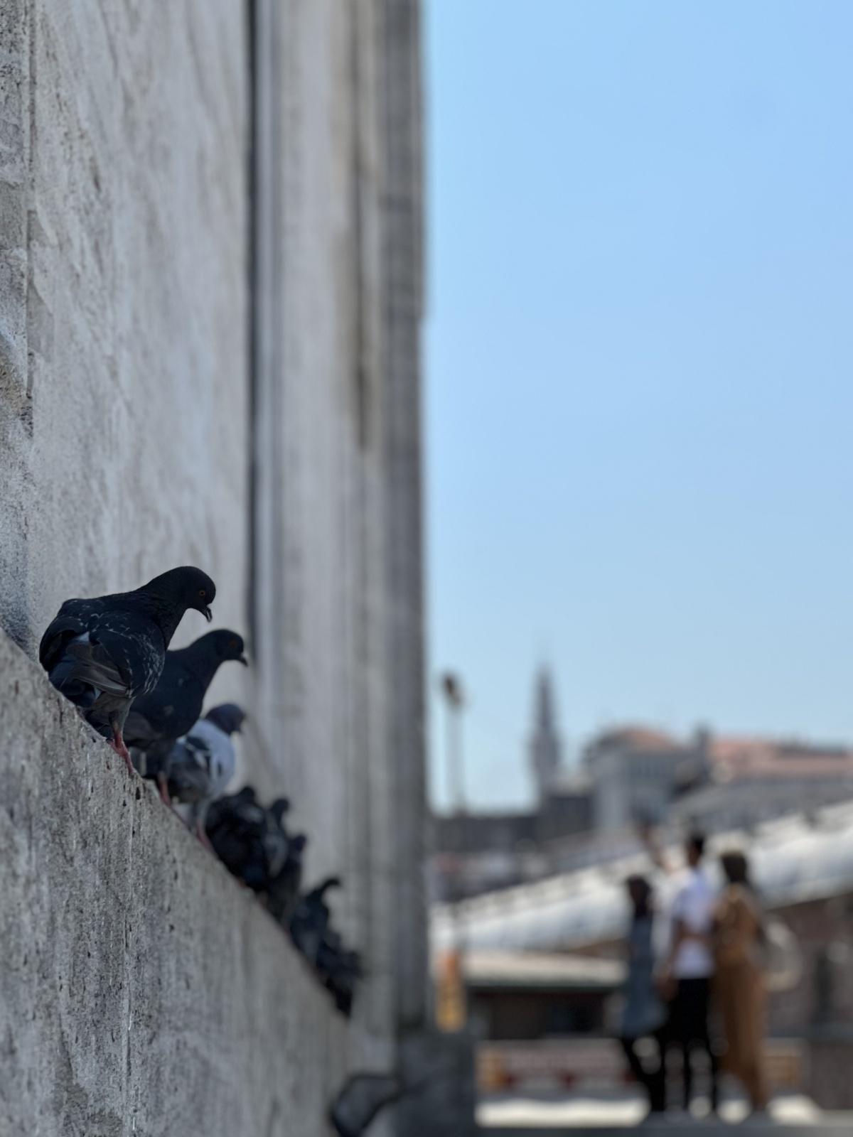 اليوم الأول - جولة 2025 - إسطنبول اليوم الأول - جولة 2025 - إسطنبول