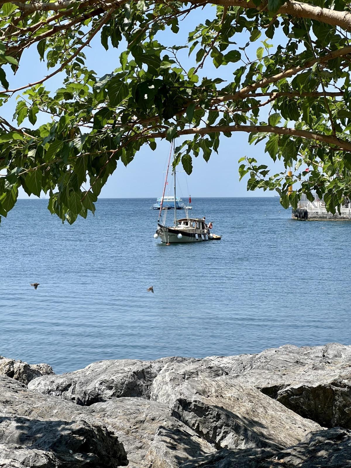 اليوم الثاني - جولة 2025 - اسطنبول اليوم الثاني - جولة 2025 - اسطنبول